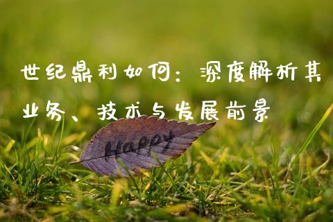 世纪鼎利如何：深度解析其业务、技术与发展前景_https://cj001.lansai.wang_会计问答_第1张