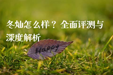 冬灿怎么样？ 全面评测与深度解析_https://cj001.lansai.wang_会计问答_第1张