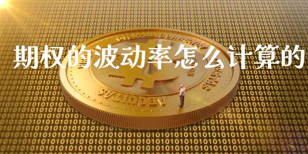 期权的波动率怎么计算的_https://cj001.lansai.wang_财经问答_第1张