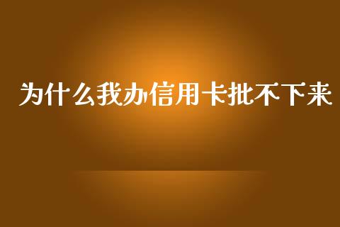 为什么我办信用卡批不下来_https://cj001.lansai.wang_理财问答_第1张