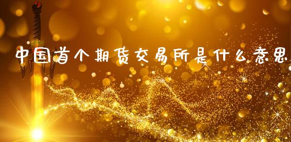中国首个期货交易所是什么意思_https://cj001.lansai.wang_会计问答_第1张