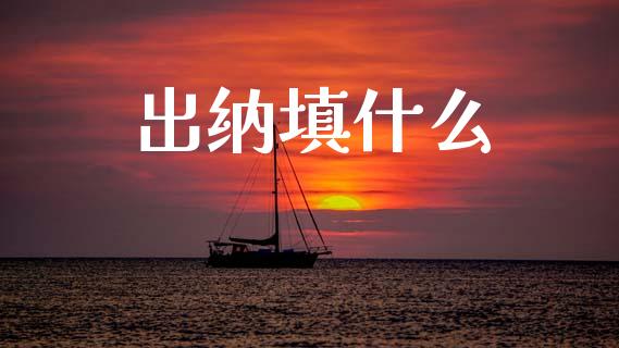 出纳填什么_https://cj001.lansai.wang_会计问答_第1张