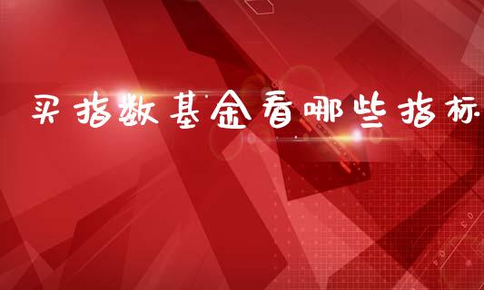 买指数基金看哪些指标_https://cj001.lansai.wang_会计问答_第1张