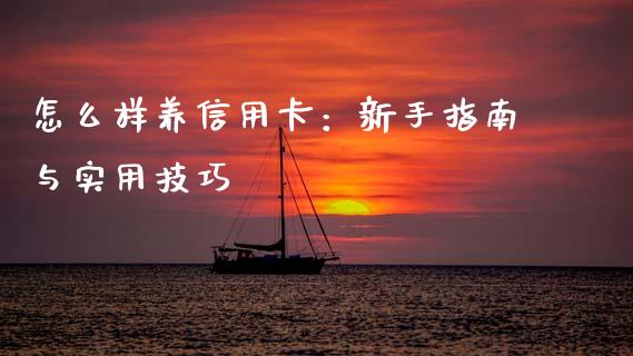 怎么样养信用卡：新手指南与实用技巧_https://cj001.lansai.wang_股市问答_第1张