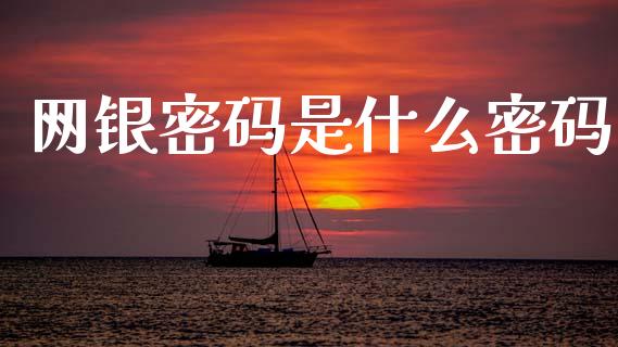 网银密码是什么密码_https://cj001.lansai.wang_金融问答_第1张
