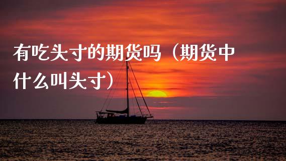 有吃头寸的期货吗(期货中什么叫头寸)_保险问答_第1张_财经百问网 有吃头寸的期货吗(期货中什么叫头寸)_https://cj001.lansai.wang_保险问答_第1张