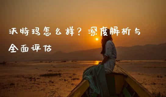 沃特玛怎么样？深度解析与全面评估_https://cj001.lansai.wang_股市问答_第1张