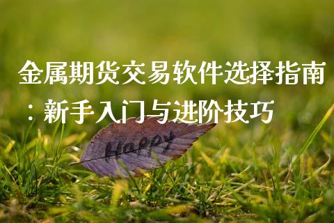 金属期货交易软件选择指南：新手入门与进阶技巧_https://cj001.lansai.wang_财经问答_第1张