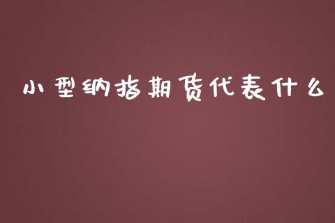 小型纳指期货代表什么_https://cj001.lansai.wang_会计问答_第1张