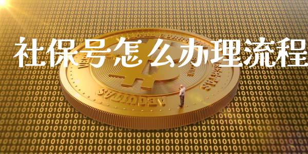 社保号怎么办理流程_https://cj001.lansai.wang_保险问答_第1张