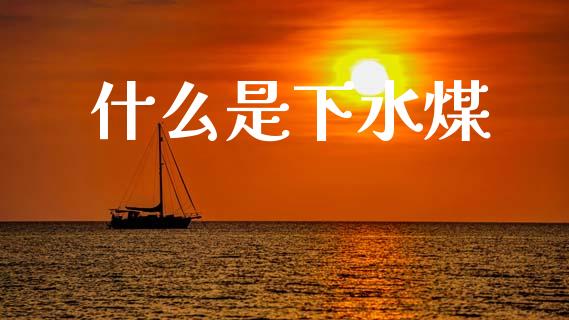 什么是下水煤_https://cj001.lansai.wang_财经问答_第1张