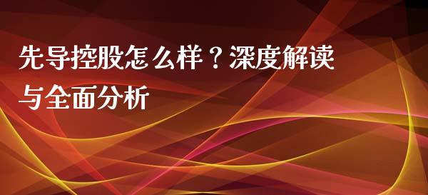 先导控股怎么样？深度解读与全面分析_https://cj001.lansai.wang_会计问答_第1张