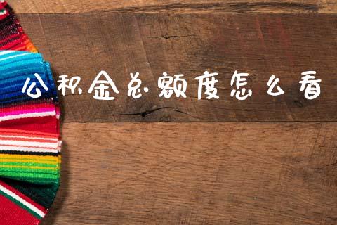 公积金总额度怎么看_https://cj001.lansai.wang_保险问答_第1张