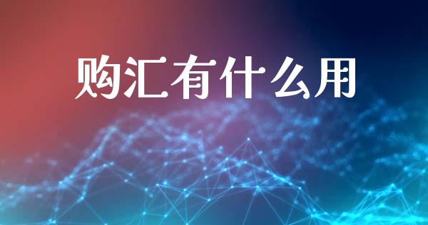 购汇有什么用_https://cj001.lansai.wang_财经问答_第1张