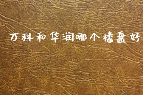 万科和华润哪个楼盘好_https://cj001.lansai.wang_财经百问_第1张