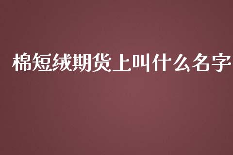 棉短绒期货上叫什么名字_https://cj001.lansai.wang_金融问答_第1张