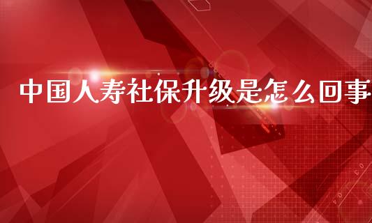 中国人寿社保升级是怎么回事_https://cj001.lansai.wang_保险问答_第1张
