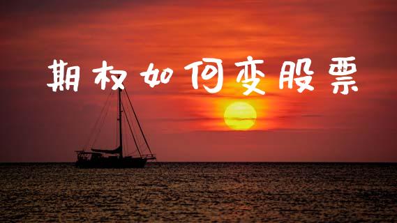 期权如何变股票_https://cj001.lansai.wang_股市问答_第1张