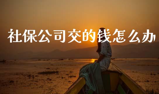 社保公司交的钱怎么办_https://cj001.lansai.wang_保险问答_第1张