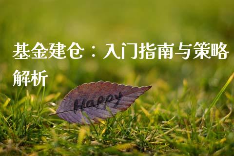 基金建仓：入门指南与策略解析_https://cj001.lansai.wang_期货问答_第1张