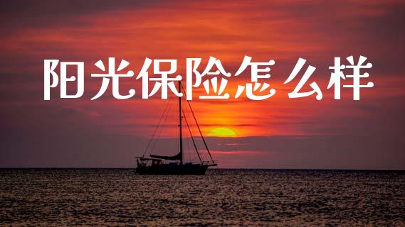 阳光保险怎么样_https://cj001.lansai.wang_保险问答_第1张