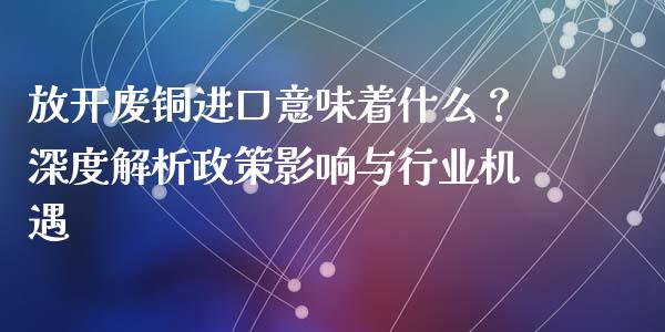 放开废铜进口意味着什么？深度解析政策影响与行业机遇_https://cj001.lansai.wang_保险问答_第1张