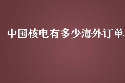 中国核电有多少海外订单_https://cj001.lansai.wang_财经百问_第1张