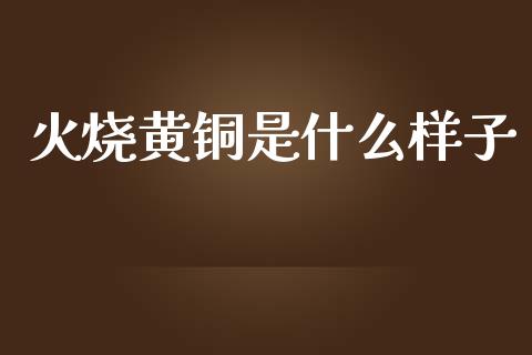 火烧黄铜是什么样子_https://cj001.lansai.wang_保险问答_第1张