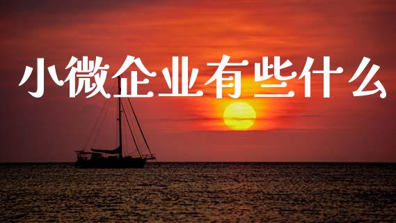 小微企业有些什么_财经问答_第1张_财经百问网 小微企业有些什么_https://cj001.lansai.wang_财经问答_第1张
