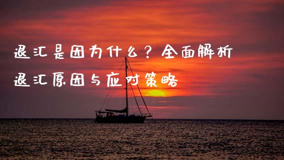 退汇是因为什么？全面解析退汇原因与应对策略_https://cj001.lansai.wang_股市问答_第1张
