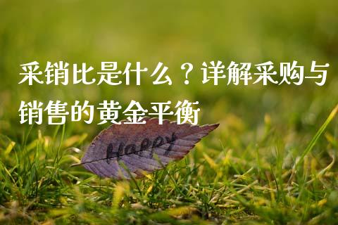 采销比是什么?详解采购与销售的黄金平衡_会计问答_第1张_财经百问网 采销比是什么?详解采购与销售的黄金平衡_https://cj001.lansai.wang_会计问答_第1张
