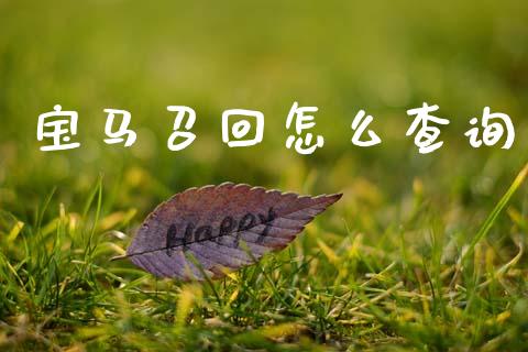 宝马召回怎么查询_https://cj001.lansai.wang_金融问答_第1张