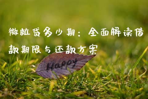 微粒贷多少期：全面解读借款期限与还款方案_https://cj001.lansai.wang_保险问答_第1张