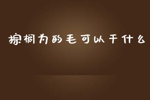 棕榈为的毛可以干什么_https://cj001.lansai.wang_期货问答_第1张