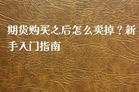 期货购买之后怎么卖掉？新手入门指南_https://cj001.lansai.wang_会计问答_第1张