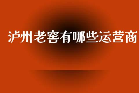 泸州老窖有哪些运营商_https://cj001.lansai.wang_股市问答_第1张