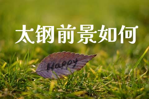 太钢前景如何_财经问答_第1张_财经百问网 太钢前景如何_https://cj001.lansai.wang_财经问答_第1张