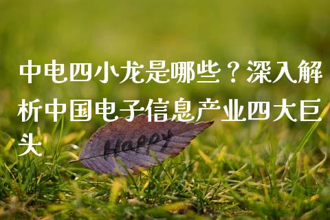 中电四小龙是哪些？深入解析中国电子信息产业四大巨头_https://cj001.lansai.wang_会计问答_第1张