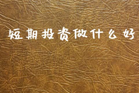 短期投资做什么好_https://cj001.lansai.wang_财经问答_第1张