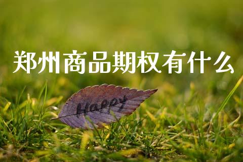 郑州商品期权有什么_金融问答_第1张_财经百问网 郑州商品期权有什么_https://cj001.lansai.wang_金融问答_第1张