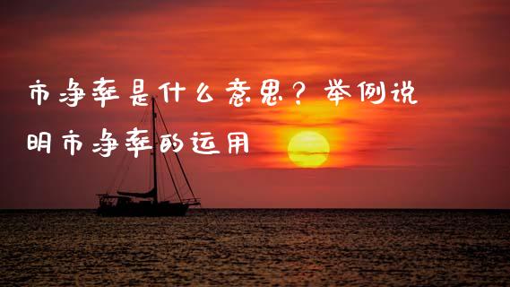 市净率是什么意思？举例说明市净率的运用_https://cj001.lansai.wang_期货问答_第1张