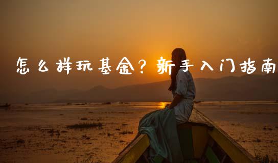 怎么样玩基金？新手入门指南_https://cj001.lansai.wang_财经百问_第1张