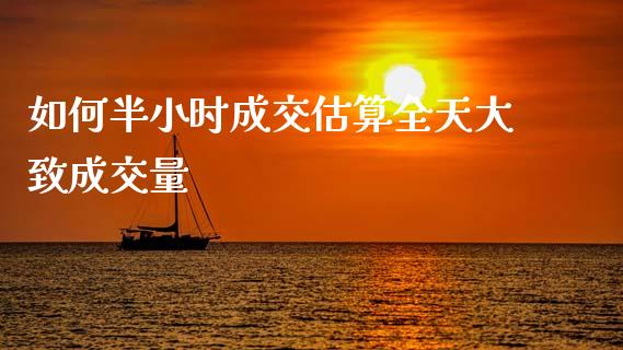 如何半小时成交估算全天大致成交量_https://cj001.lansai.wang_股市问答_第1张