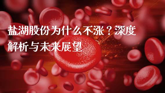 盐湖股份为什么不涨？深度解析与未来展望_https://cj001.lansai.wang_股市问答_第1张