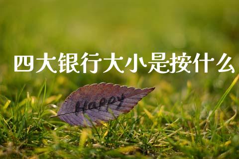 四大银行大小是按什么_https://cj001.lansai.wang_财经百问_第1张