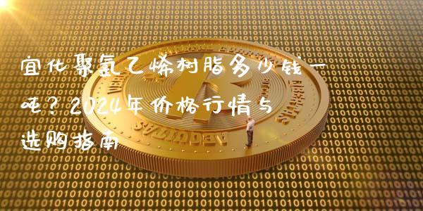 宜化聚氯乙烯树脂多少钱一吨？2024年价格行情与选购指南_https://cj001.lansai.wang_财经问答_第1张