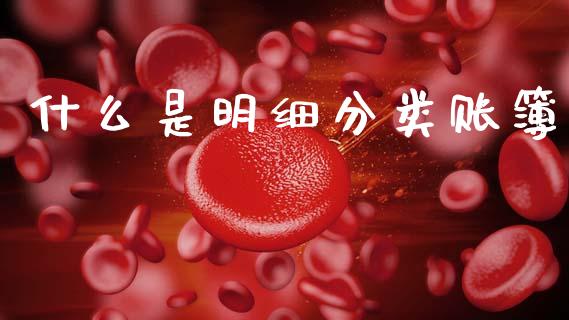 什么是明细分类账簿_https://cj001.lansai.wang_会计问答_第1张