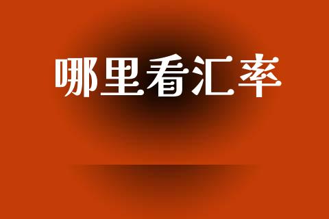 哪里看汇率_https://cj001.lansai.wang_财经问答_第1张