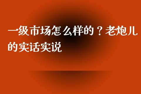 一级市场怎么样的？老炮儿的实话实说_https://cj001.lansai.wang_理财问答_第1张