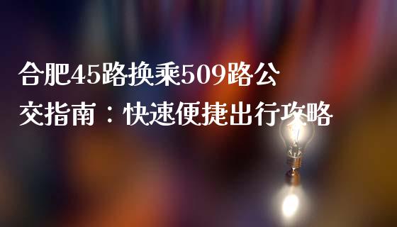 合肥45路换乘509路公交指南：快速便捷出行攻略_https://cj001.lansai.wang_股市问答_第1张
